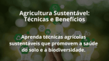 Agricultura Sustentável: Técnicas e Benefícios