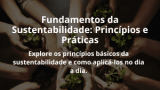 Fundamentos da Sustentabilidade: Princípios e Práticas