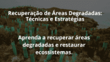 Recuperação de Áreas Degradadas: Técnicas e Estratégias
