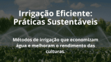 Irrigação Eficiente: Práticas Sustentáveis