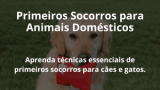 Primeiros Socorros para Animais Domésticos